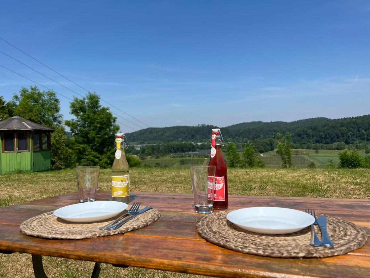 Einzigartiger Panoramablick, Bodensee Und Messe In Der Naehe Tettnang Buitenkant foto