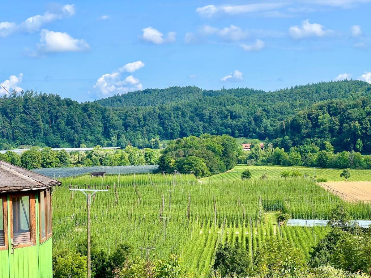 Einzigartiger Panoramablick, Bodensee Und Messe In Der Naehe Tettnang Buitenkant foto