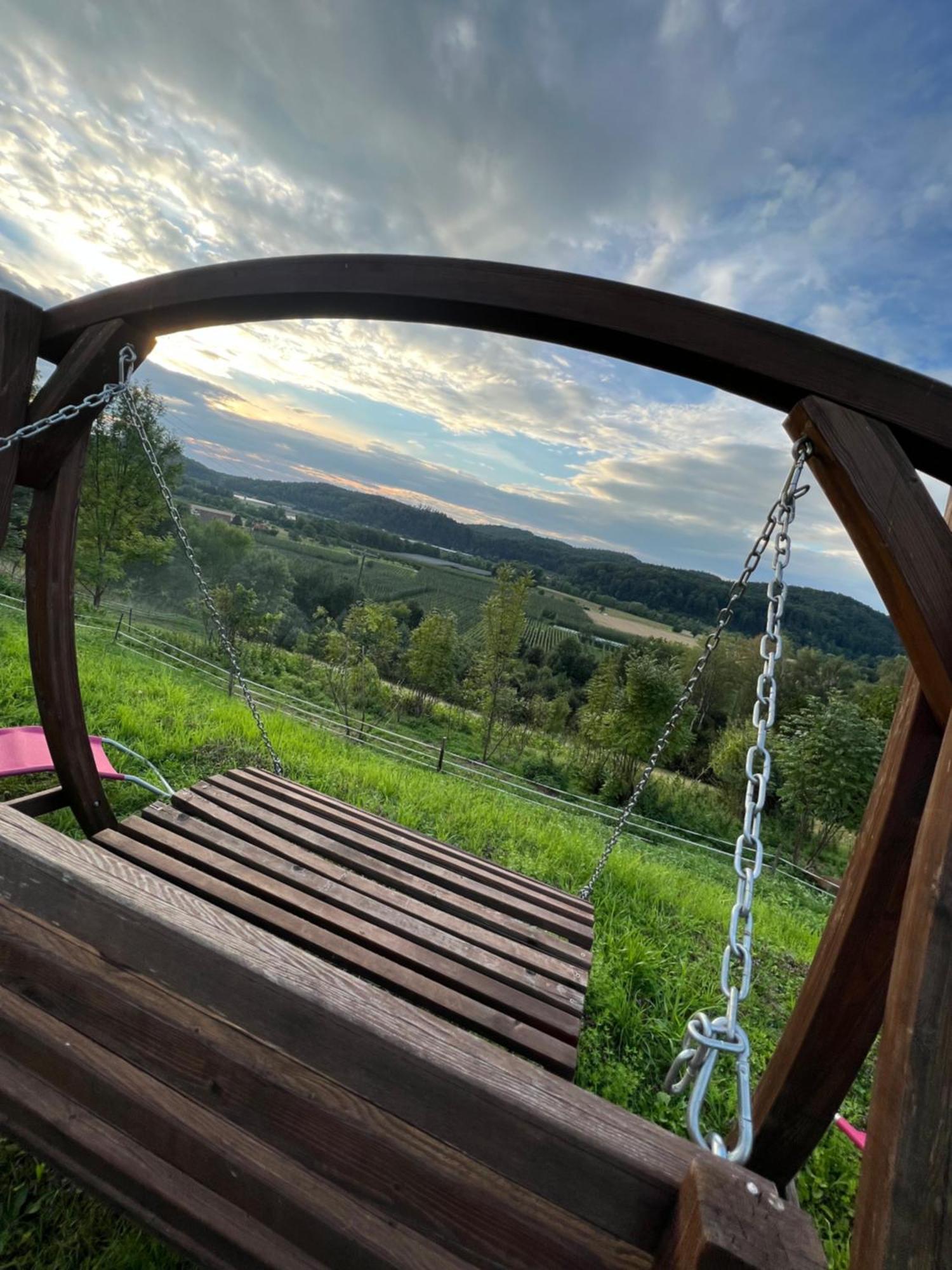 Einzigartiger Panoramablick, Bodensee Und Messe In Der Naehe Tettnang Buitenkant foto