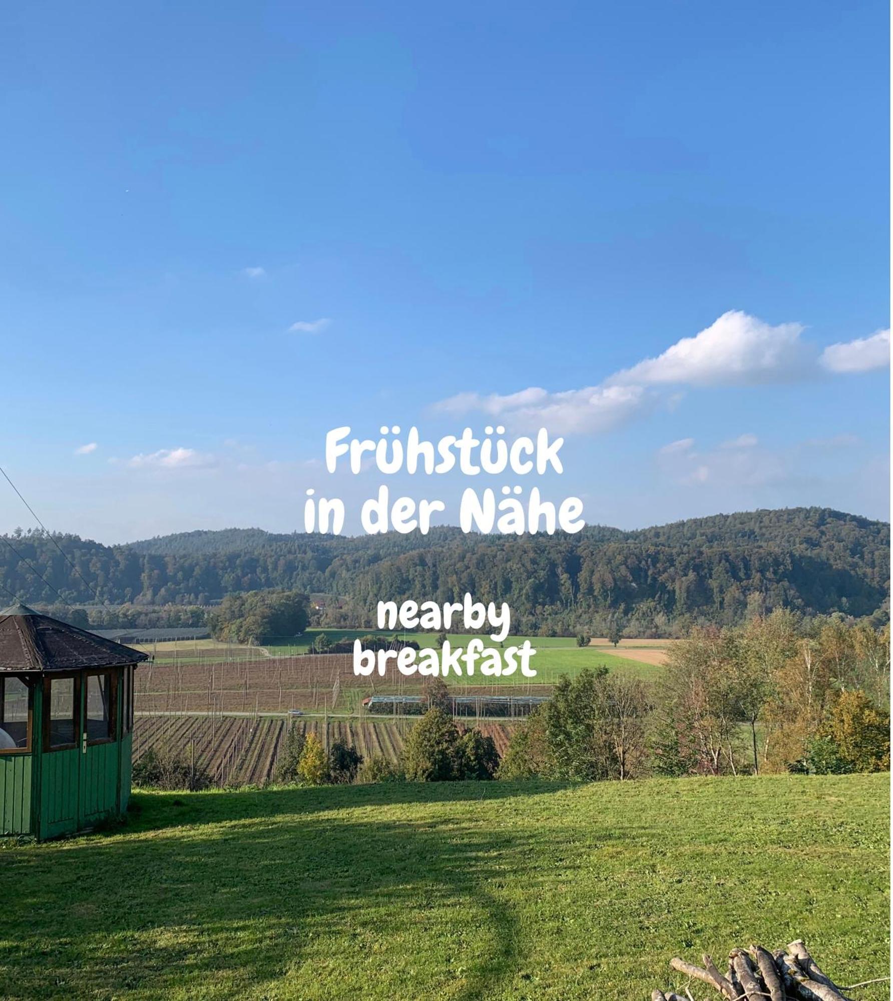Einzigartiger Panoramablick, Bodensee Und Messe In Der Naehe Tettnang Buitenkant foto
